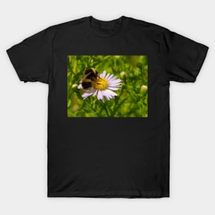 bee on a flower T-Shirt